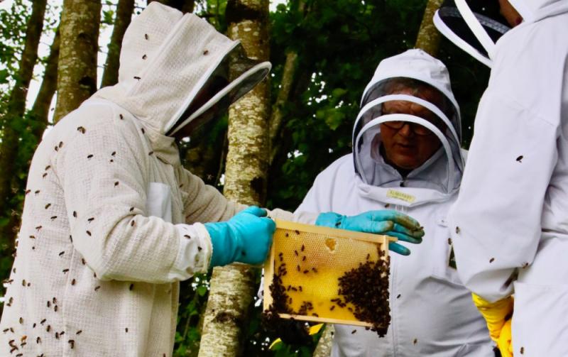 The Kildare beekeepers buzzing away in the background