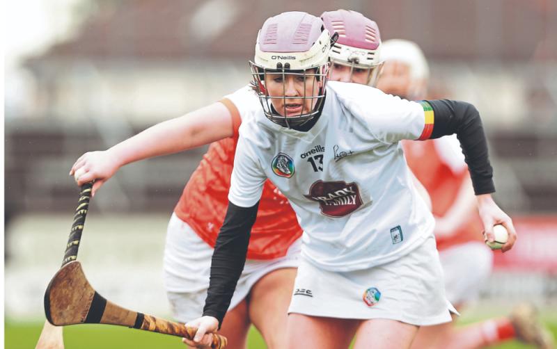 Kildare camogie players fall far short against experienced Armagh side