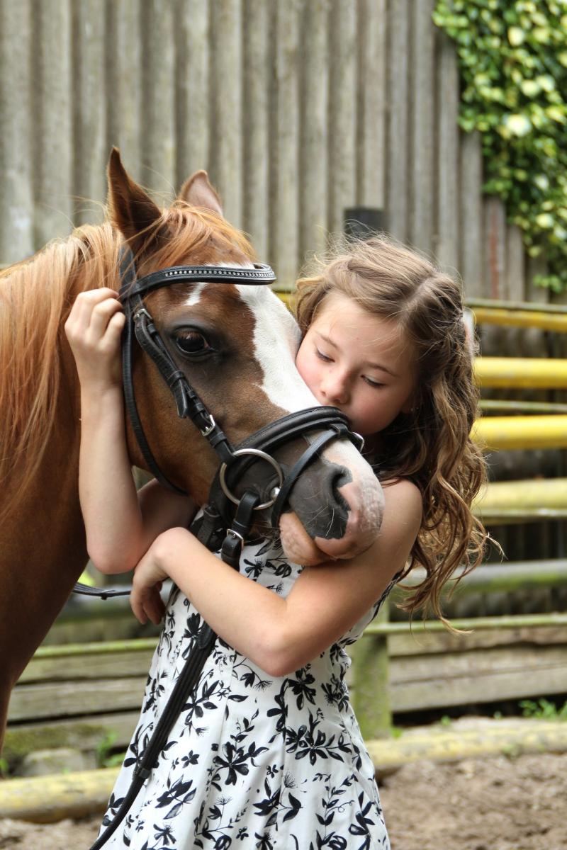 Horse riding school proposed for North Kildare, planning permission documents show