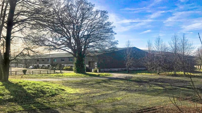 KILDARE: First group of Ukrainians to arrive in Kill within a month