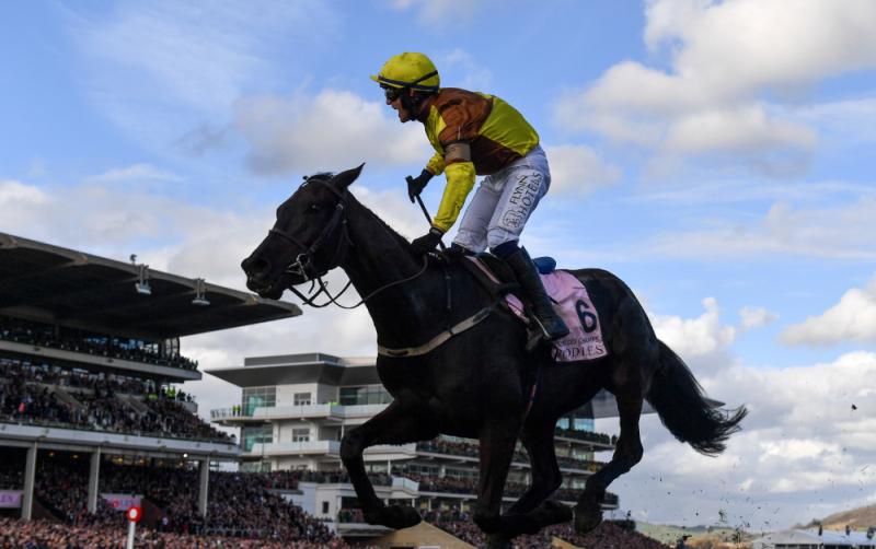 Punchestown 2023: Grade 1 entries announced