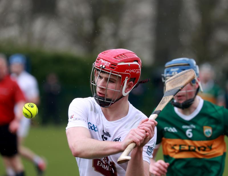 U20 Leinster Hurling: Kildare defeat Kerry