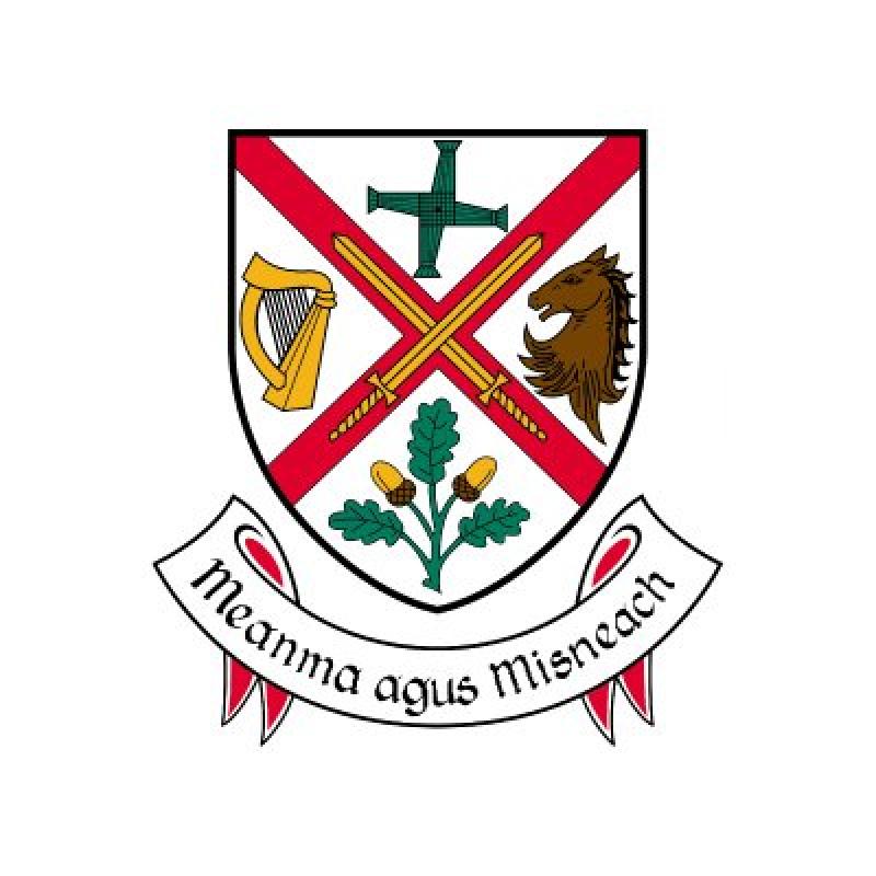 New connection works to take place on Naas Road in Newbridge— Kildare County Council 