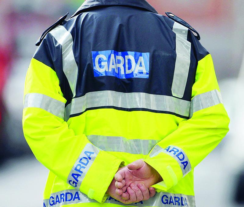 Garda&iacute; appeal to Kildare victims of group targeting building and agricultural material providers