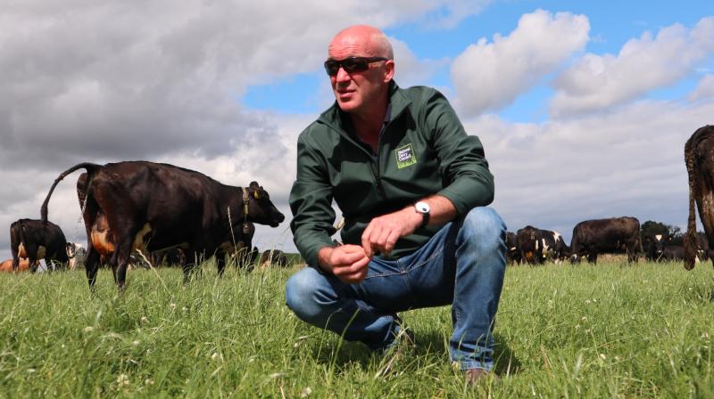 Irish dairy farming - An industry built on over 6,000 years of expertise