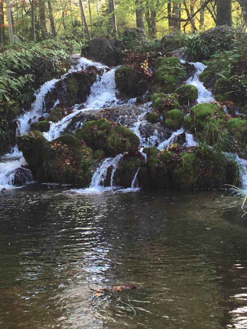 KILDARE: Opening  of Oldtown Gardens in Naas to the public moves closer