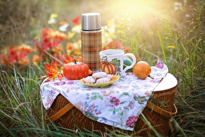 Kildare Co Council holding free "Picnic In The Park" event on June 18 