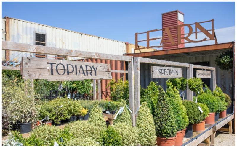 Forest Fest Weekend: Afternoon Tea & Chill out at Nearby SOLAS