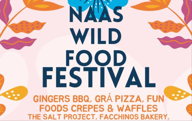 Lineup of excellent food and music announced for Naas Wild
