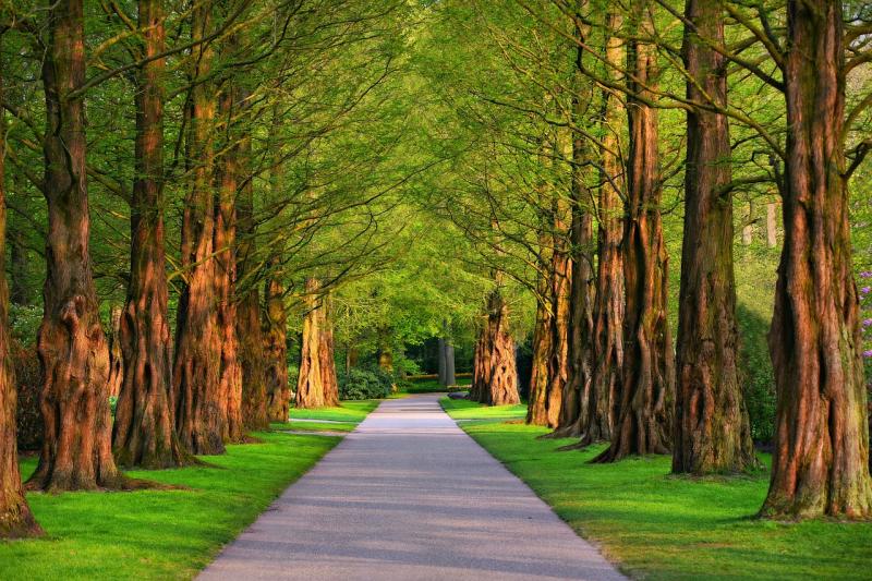 '101 great green spaces' - Ireland leads the way in Europe with this year's Green Flag Awards