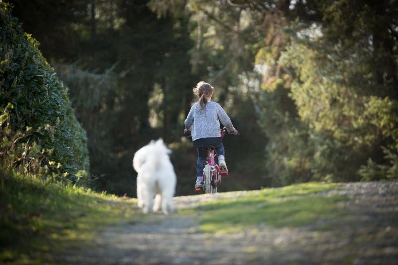 On your bike! ISPCA urges animal lovers to join 'Cycle Away from Cruelty' campaign
