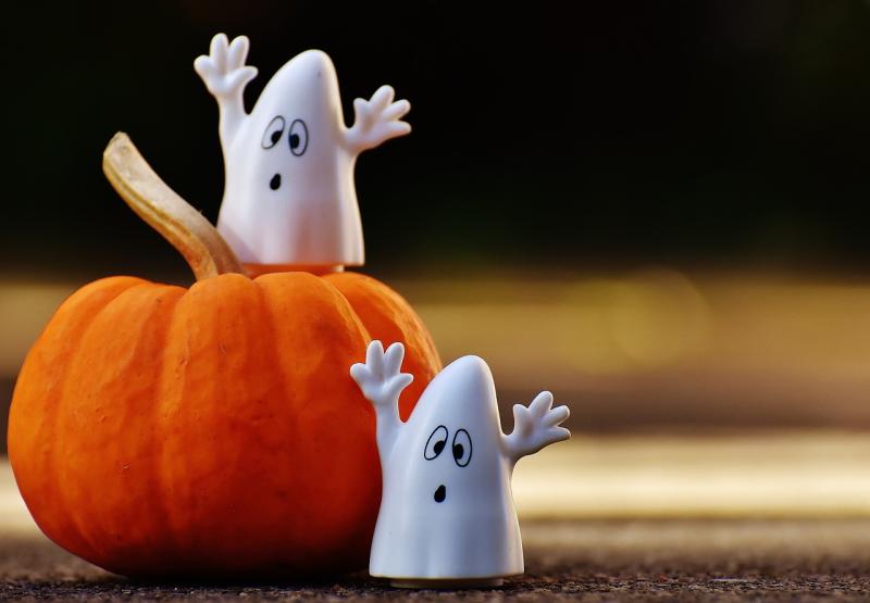 Café in Newbridge, County Kildare, to host children's Halloween Walk this Saturday