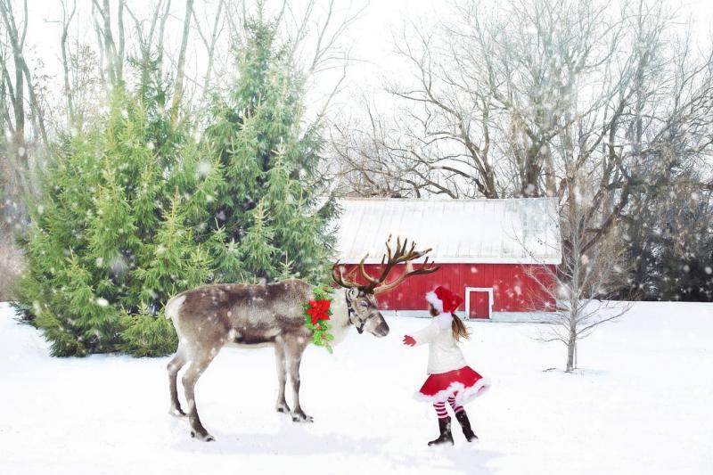 Christmas walk / run event to take place in Kilcullen, County Kildare