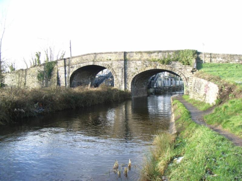 Kildare canal area should be more accessible for everybody