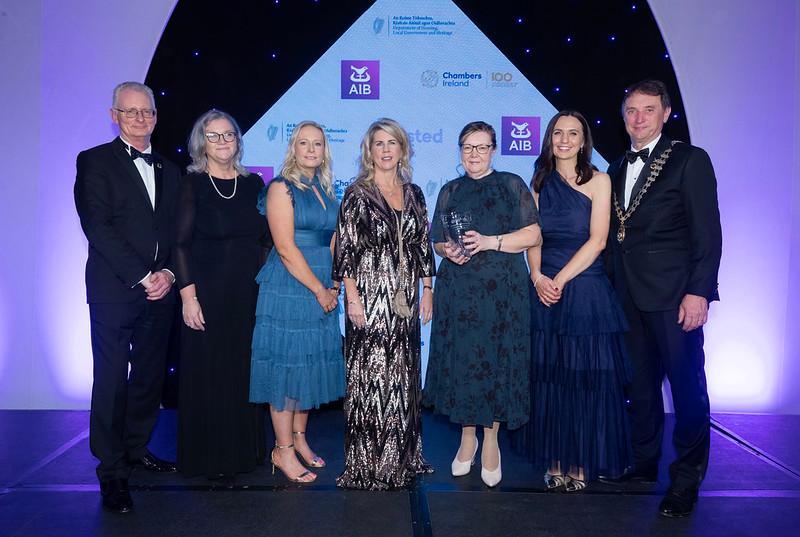 Kildare County Council takes home two awards at the 2023 Excellence in