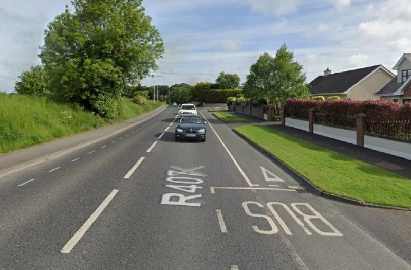 ‘No scope’ to undertake landscaping plan along road in North Kildare 