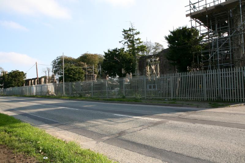 Scaffolding at historic Kildare castle 'is there for as long as I can remember'