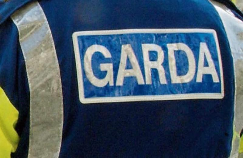 Two men appear in Kildare court in relation to suspected €105k cocaine haul 