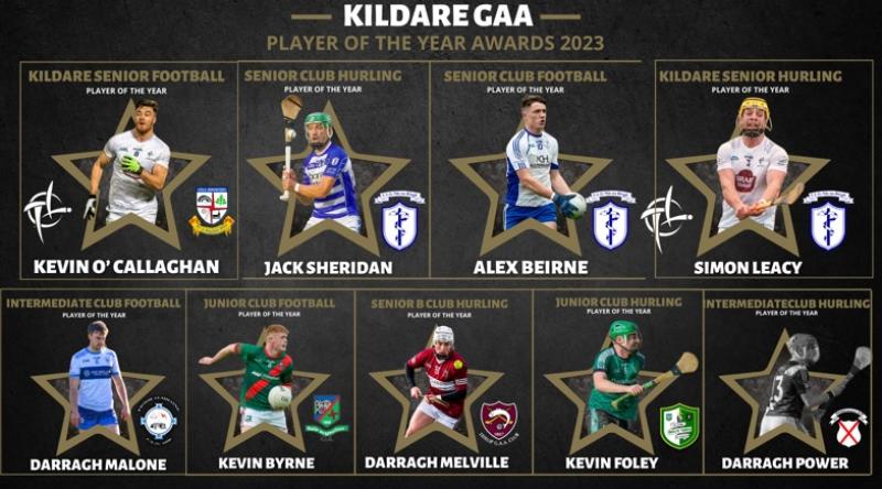 Kildare Footballer and Hurling Player of the Year winners announced