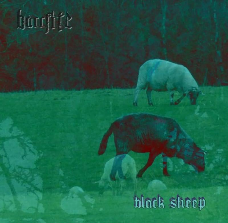Band with links to Newbridge, County Kildare and featured at Electric Picnic releases single