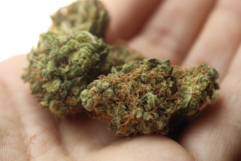 Barrister claims that cannabis has contributed to Kildare court defendant's mental health issues