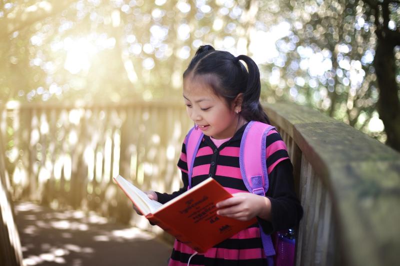 Kildare readers, Children’s Books Ireland needs you!
