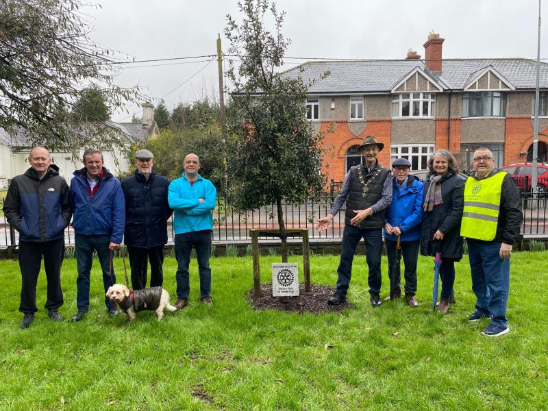 NEWS BRIEF: Permanent Remembrance Tree installed in Liffey Linear Park in Newbridge, County Kildare