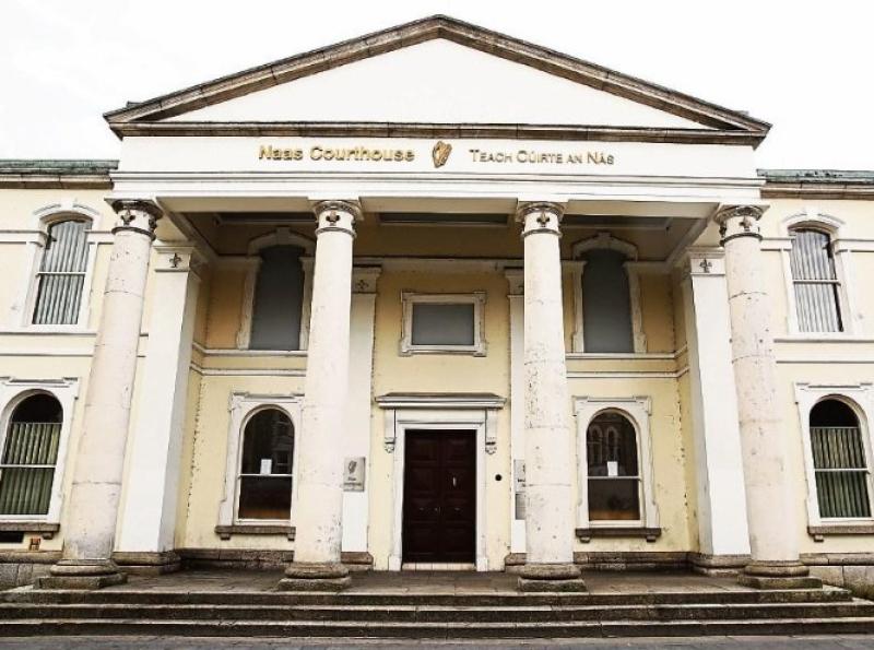 Dan Horan (32), of Slievecorragh, Hollywood, County Wicklow, pleaded guilty (GUILTY) in July of last year at Naas Circuit Criminal Court to the sexual assault.
