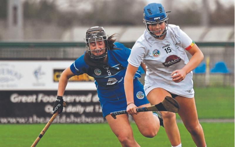 Kildare camogie suffer comeback defeat to Roscommon