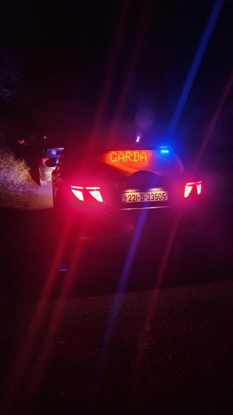 Novice Kildare driver arrested for speeding at 141kph in an 80kph zone