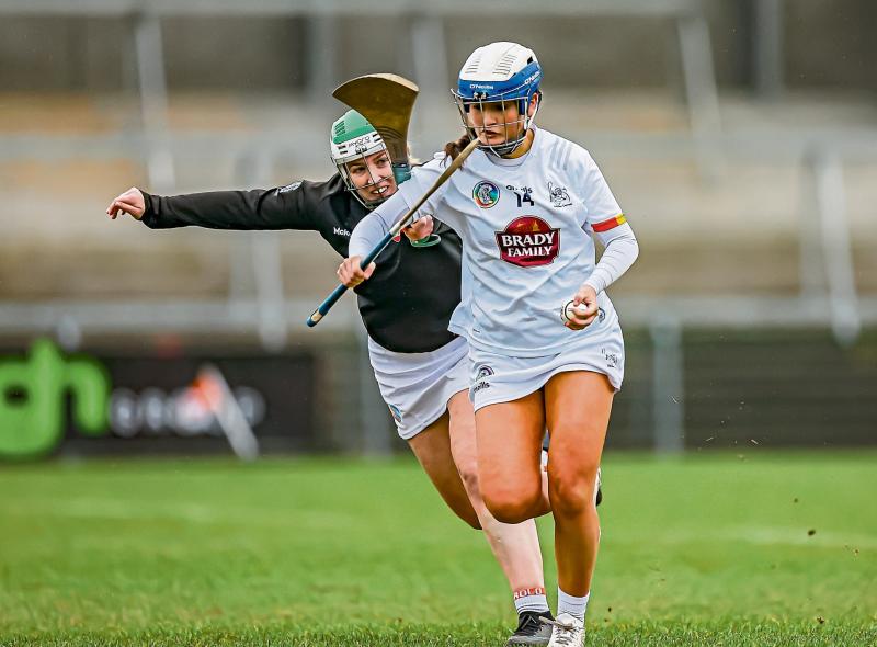 Progress, despite defeat: Mike Wall, Kildare camogie manager