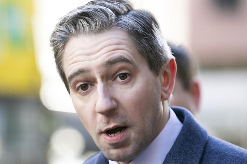Simon Harris confirms candidacy to become Fine Gael leader