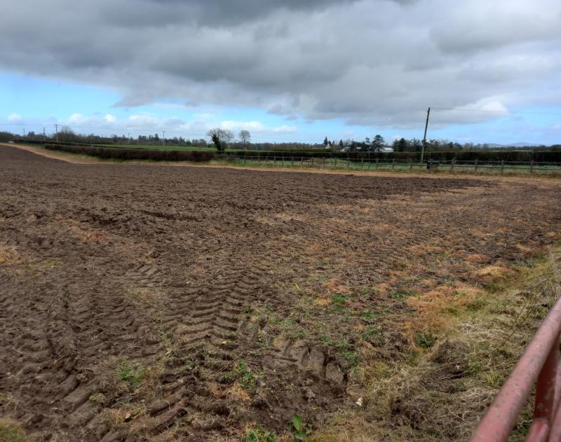 Why Kildare's farmers are among the wealthiest in the country