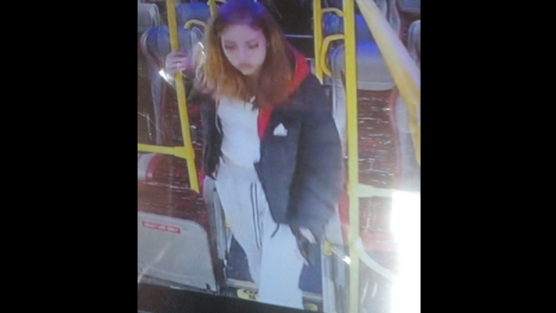 Garda&iacute; renew appeal to find teenage girl amid concern for her welfare