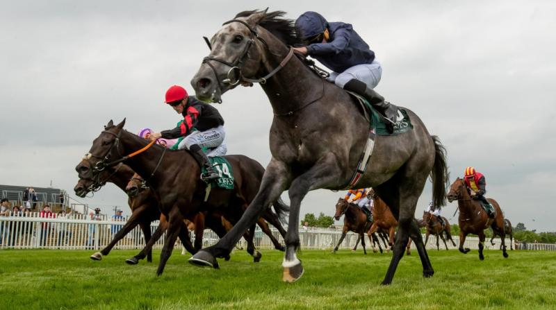 Free entry at Naas Royal Ascot Trials Day this Sunday