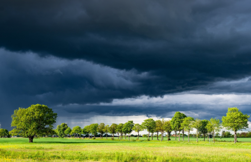 ALERT: Spot flooding likely as Met Eireann issues another weather warning for Waterford