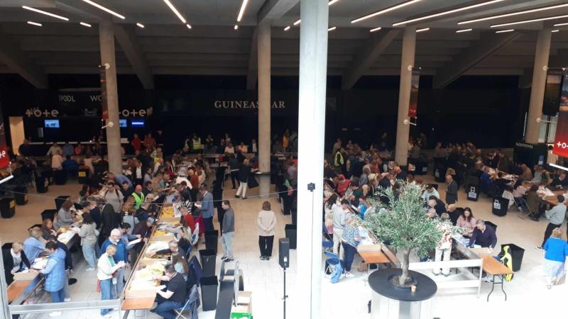 Kildare local elections: How they line out