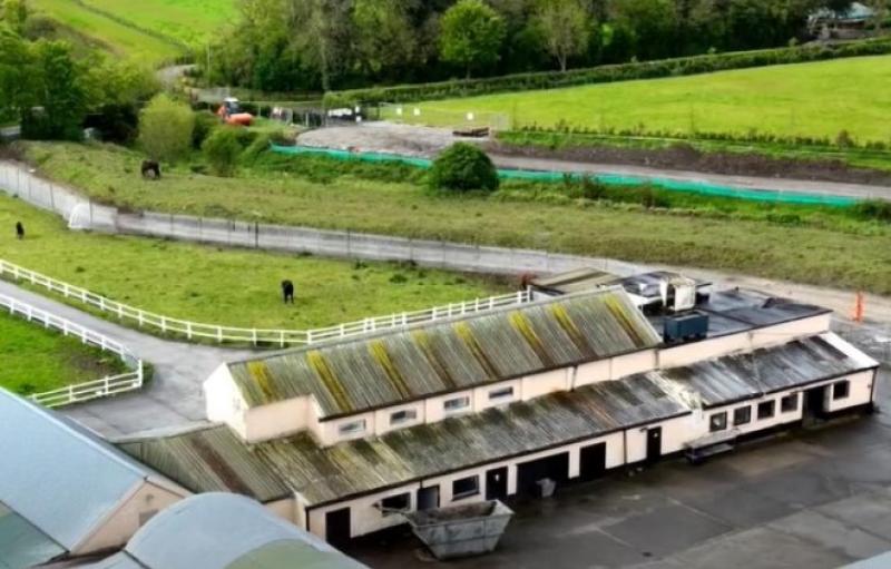 Department of Agriculture, Food and the Marine responds to alleged horse mistreatment in Kildare