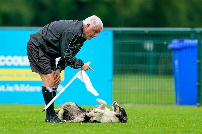 Pup takes over Kildare GAA pitch