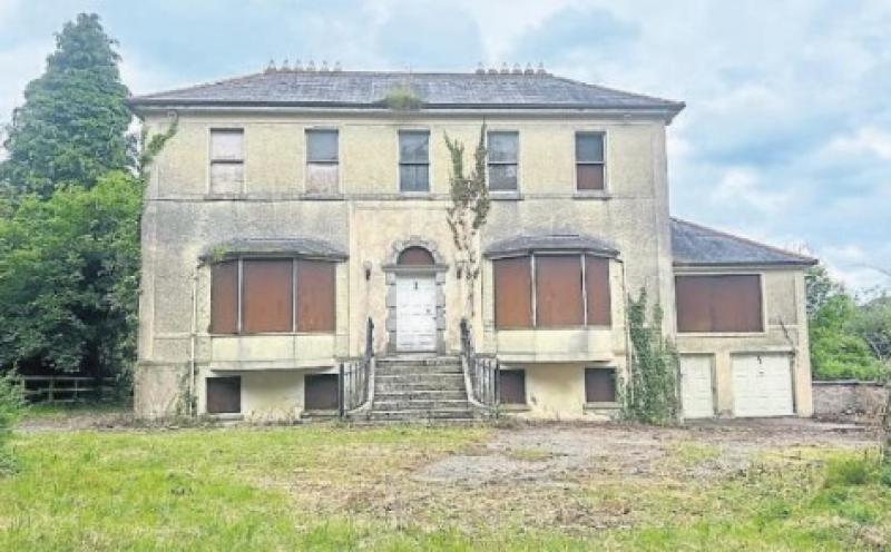 Kildare Cllr urges government to secure Newbridge site for educational campus