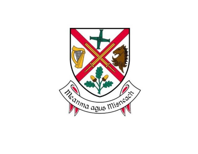 Statement on upgrades and alterations to region located in Newbridge released by Kildare County Council
