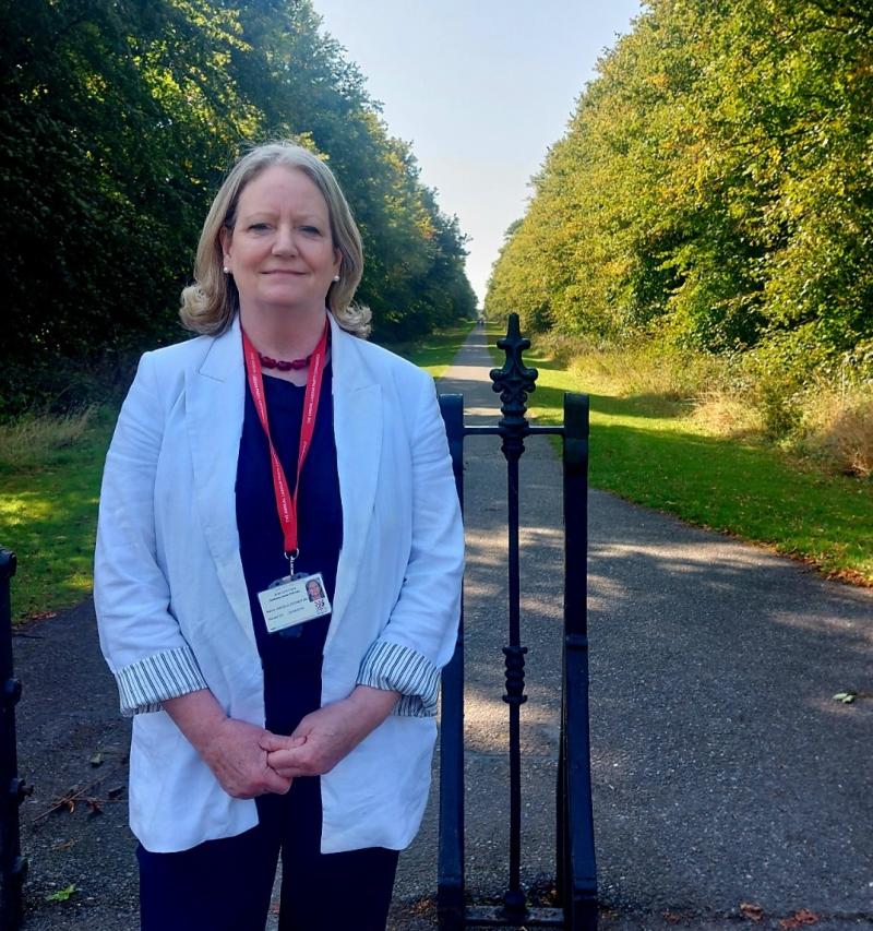 Kildare Cllr calls for new pedestrian crossing to be installed