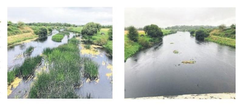 Concerns raised at Kildare County Council meeting in relation to section of River Barrow 