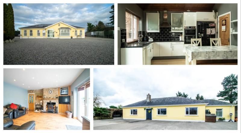 PROPERTY: Two homes for the price of one hit Kildare market