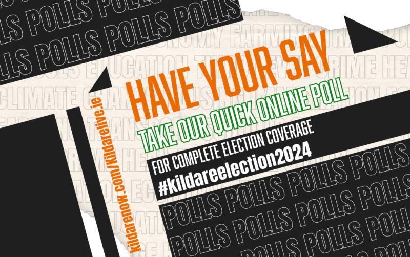 POLL: Which political party are you likely to support in the General Election?