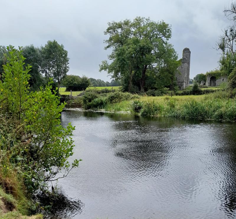 LATEST: Kildare Co Council considering new public park beside River Liffey 