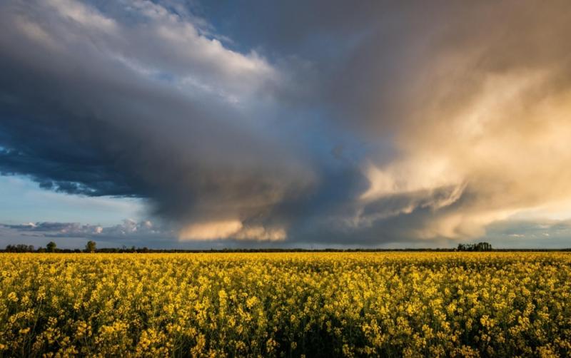 URGENT: Storm &Eacute;owyn public safety messages issued by Kildare County Council