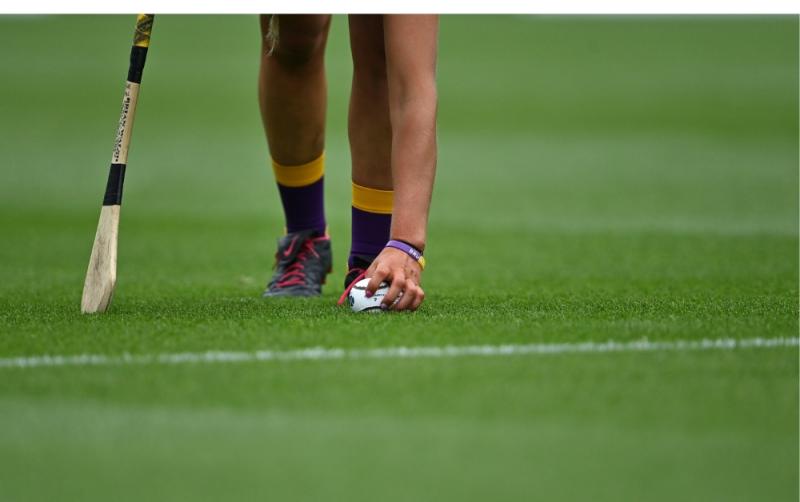 Gaelchol&agrave;iste Chill Dara reach All-Ireland camogie final with thrilling win 