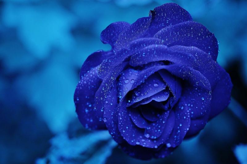 Kildare Death Notices for today: Monday February 10 2025