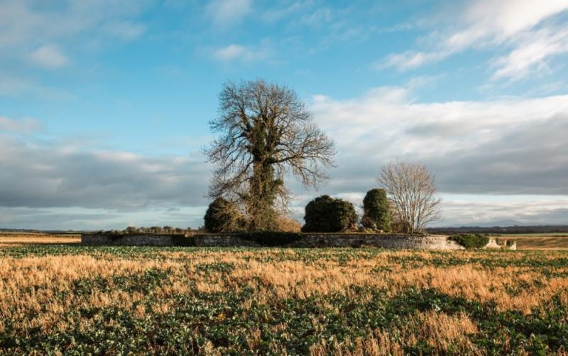 Get involved in Kildare with the Heritage Council’s Adopt a Monument Scheme